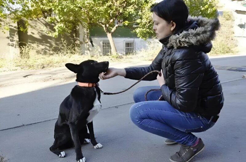 Διένυσε 322 χιλιόμετρα – όχι για να ξεφύγει ή να χαθεί, αλλά για να ευχαριστήσει τον άνθρωπο που του έσωσε τη ζωή